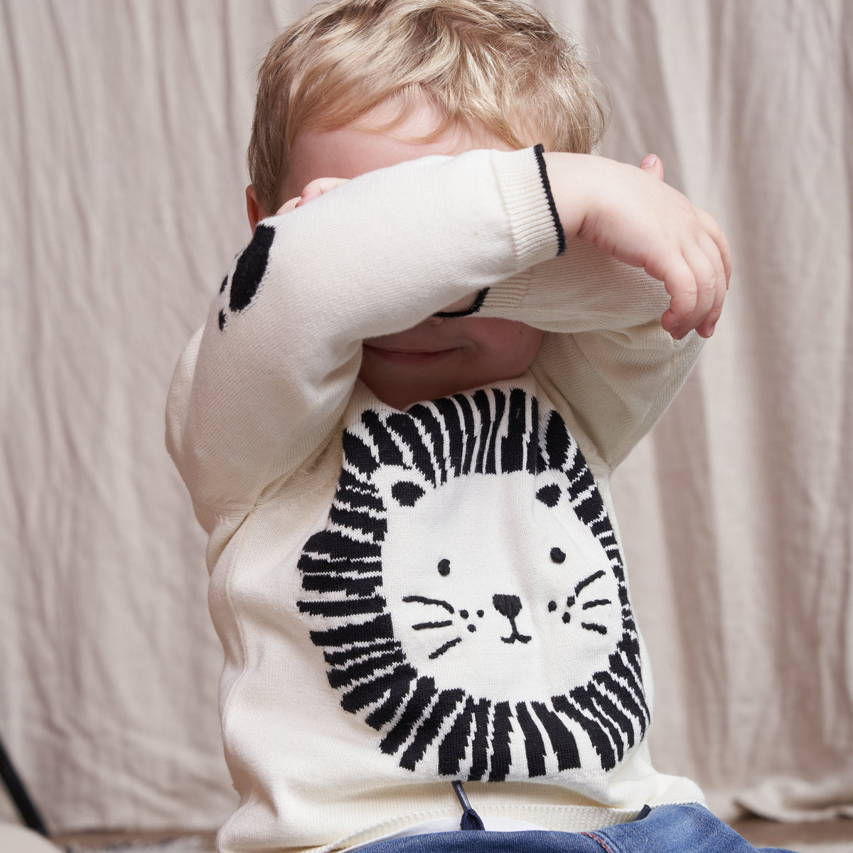 Lion Jumper
