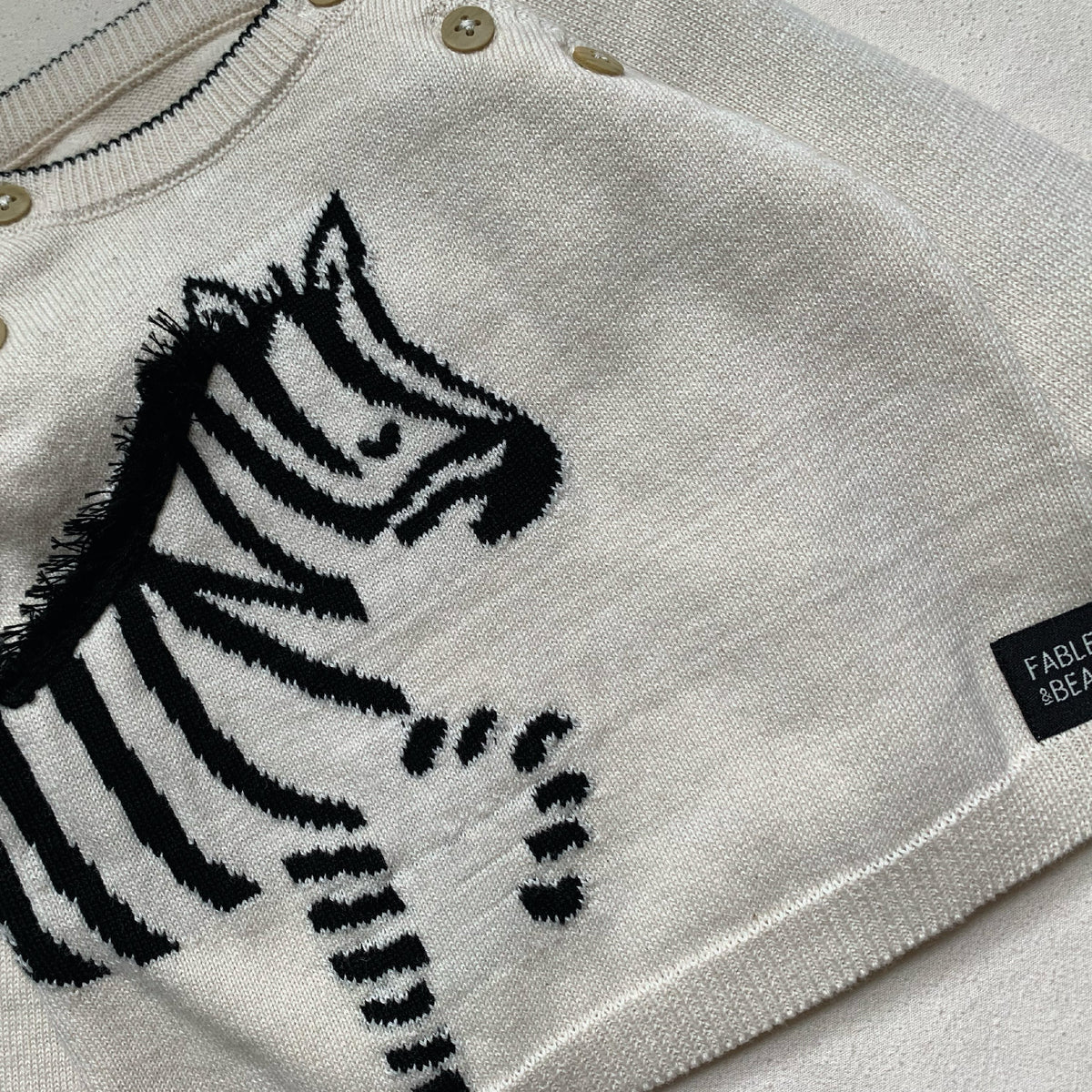 Lucky Zebra Jumper