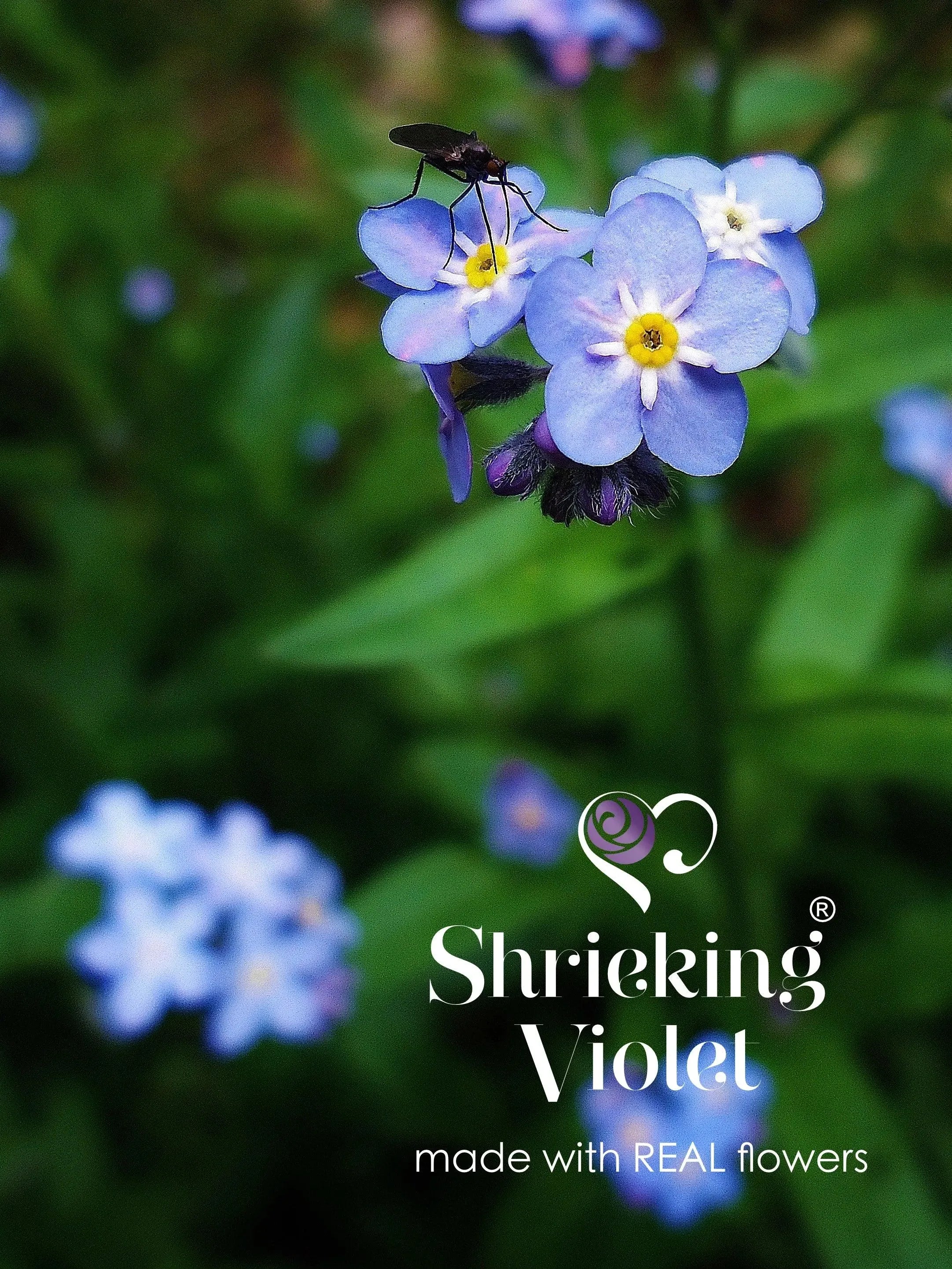 Forget-Me-Not Teardrop Pendant Necklace